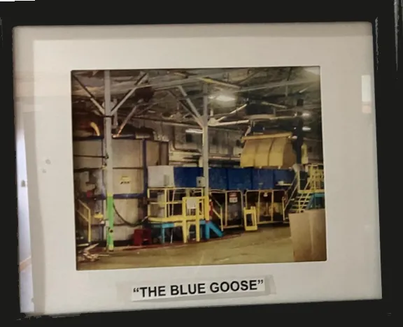 Framed photo of the Blue Goose